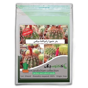 بذر دنموزا رادوکانتا میکس کاکتوسچی مدل AM-024