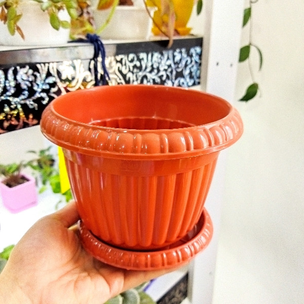 گلدان مدل 3 گلدان مدل 3