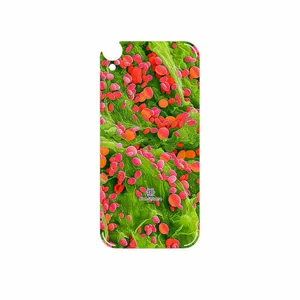 MAHOOT Atom Universe 3 Cover Sticker for HTC Desire 820