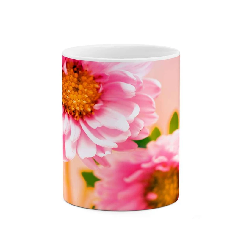 ماگ کاکتی مدل گل کد mgh12120