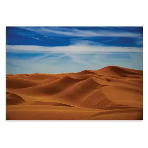 تابلو شاسی طرح روز آفتابی در بیابان Sunny Day in Desert مدل NV0870