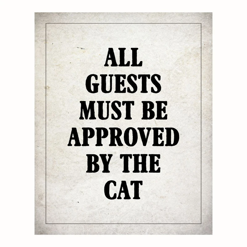 پوستر مدل مستر گربه -همه مهمان ها باید توسط گربه تأیید شوند