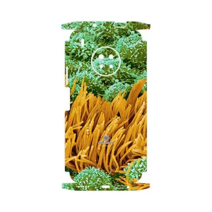 MAHOOT Atom Universe 6-FullSkin Cover Sticker for Huawei Y9a