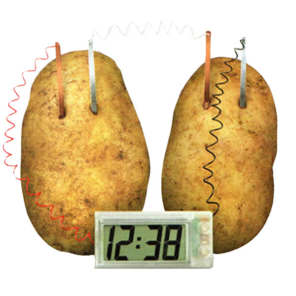 کیت آموزشی مدل POTATO
