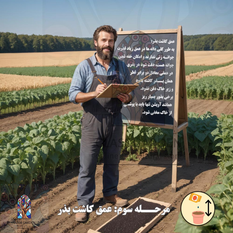 بذر خیار ترشی شمالی خاردار گلس گاردن مدل GL03 بذر خیار ترشی شمالی خاردار گلس گاردن مدل GL03