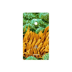 MAHOOT Atom Universe 6 Cover Sticker for Nokia XL