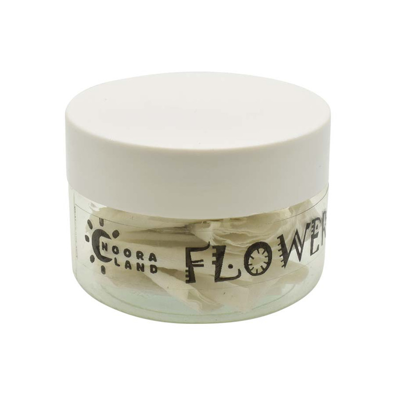 گل خشک نورالند مدل بابونه کد B2 مجموعه 10 عددی