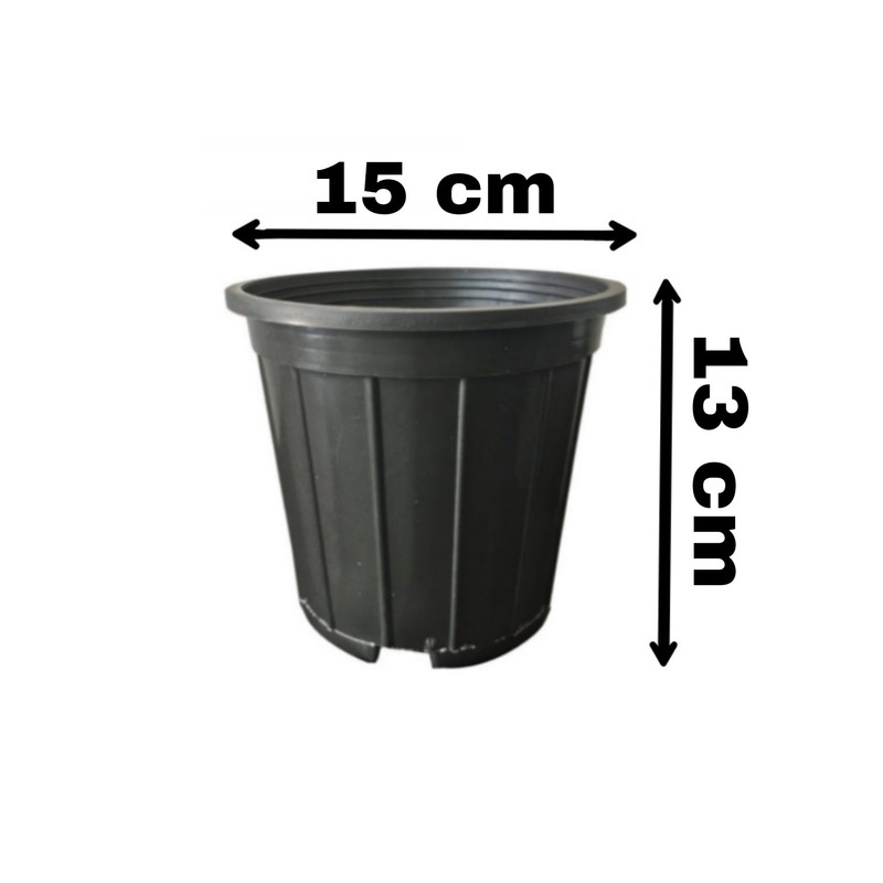 گلدان نشا  مدل n15 بسته 50 عددی