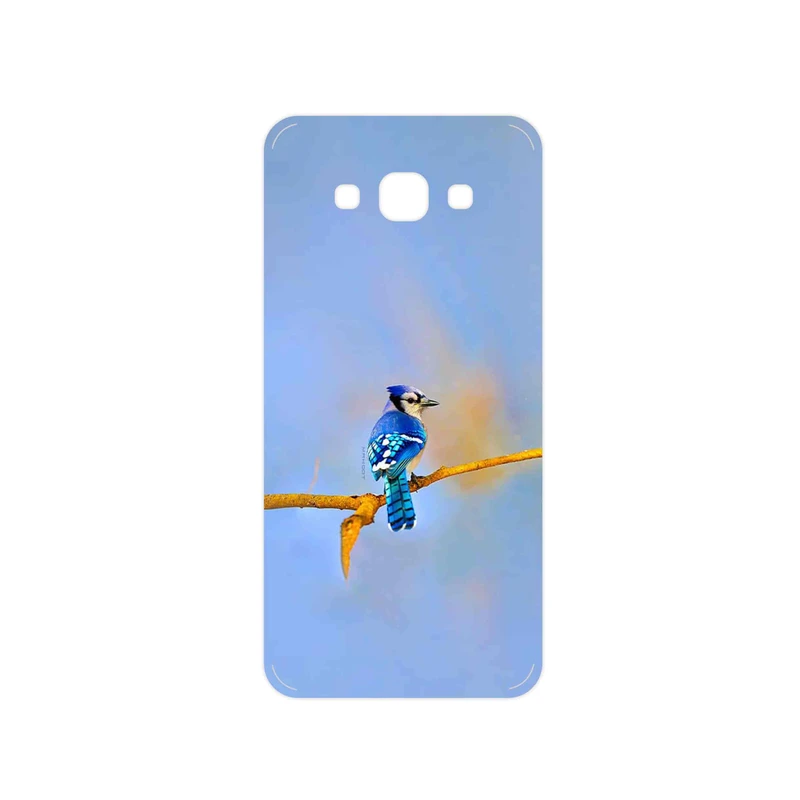 برچسب پوششی ماهوت مدل Cyanocitta cristata مناسب برای گوشی موبایل سامسونگ Galaxy A8