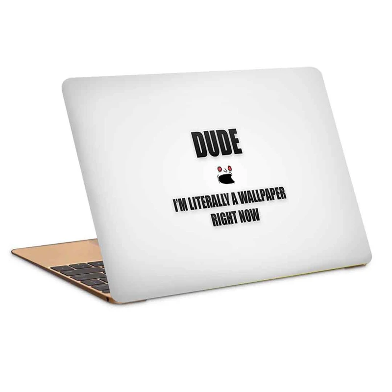 استیکر لپ تاپ طرح dudeکد c-250مناسب برای لپ تاپ 15.6 اینچ