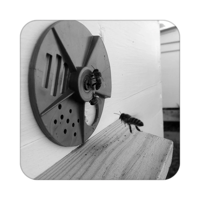 زیر لیوانی کاکتی طرح گل مدل mp19740