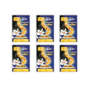 پوچ گربه بالغ فلیکس مدل chicken وزن 100 گرم مجموعه 6 عددی