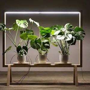 استند گلدان مدل Frame98