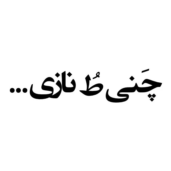 برچسب بدنه خودرو طرح چنی تو نازی کد FB09