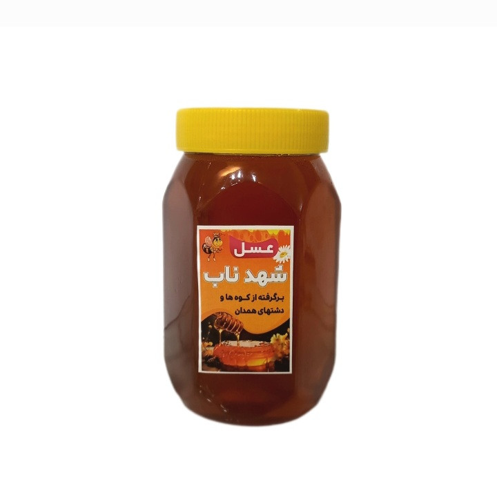 عسل طبیعی شهد ناب - ۱ کیلوگرم 