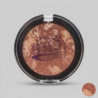رژگونه تراکوتا باریش مدل Silky touch شماره 201