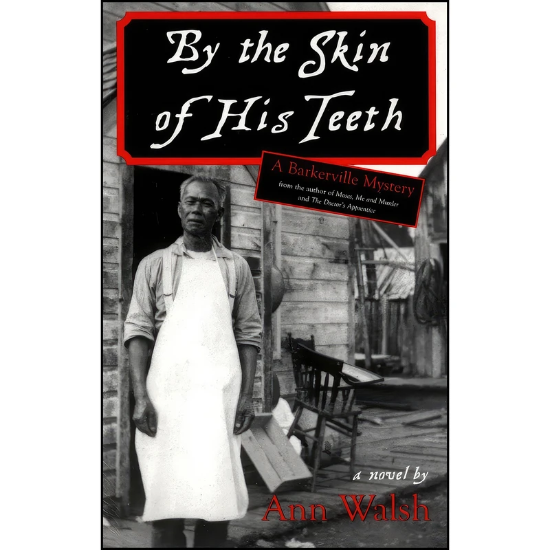 کتاب By the Skin of His Teeth اثر Ann Walsh انتشارات Dundurn Press