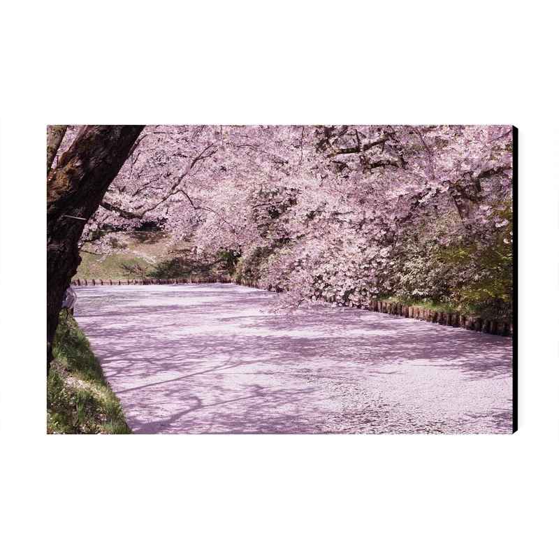 تابلو شاسی عرش طرح گردشگری ژاپن مدل جشنواره شکوفه‌های گیلاس پارک هیروساکی کد As6163