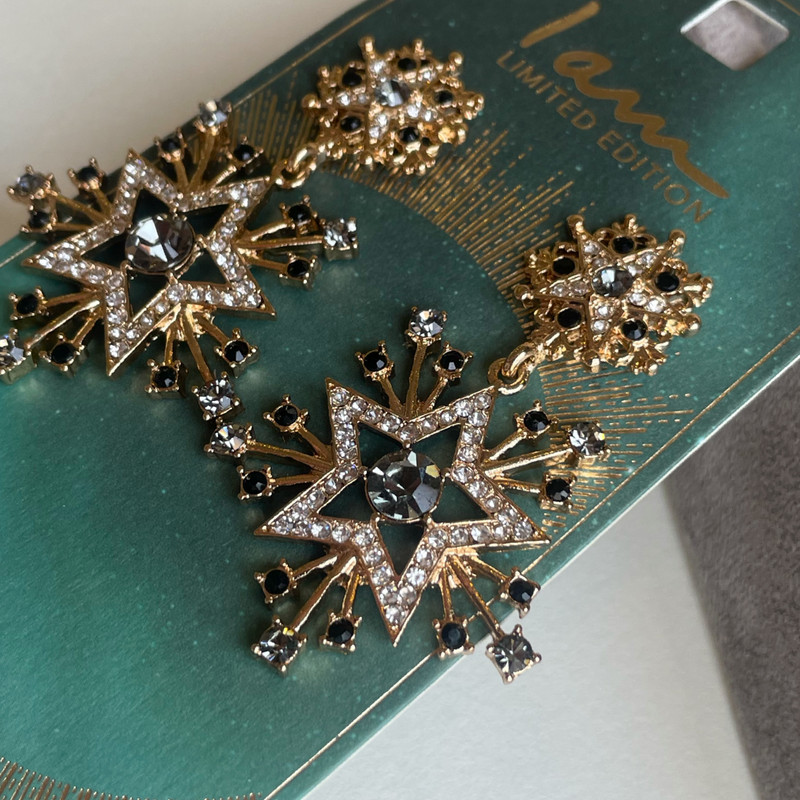 گوشواره زنانه آی ام مدل AE1299-007