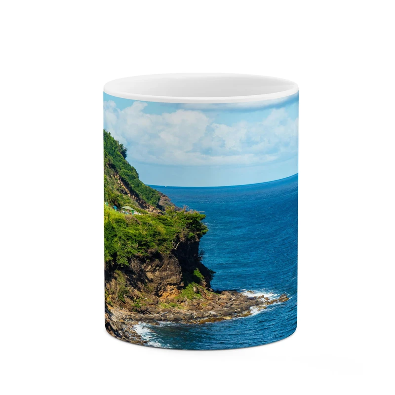 ماگ کاکتی مدل منظره کد mgh17766