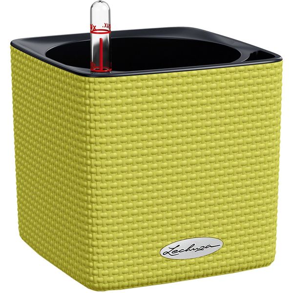 گلدان خودآبرسان لچوزا مدل Cube Color 14