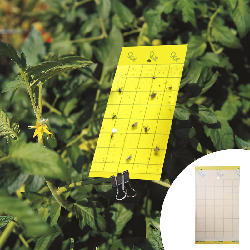 چسب حشره کش پالیز مهار مدل 1614 بسته 10 عددی