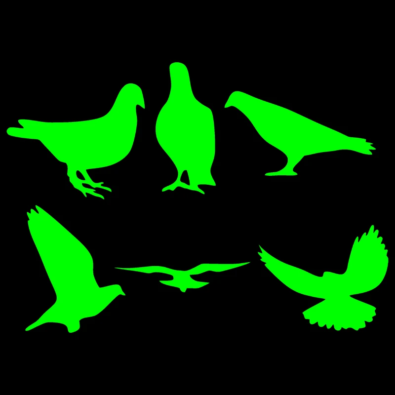 استیکر کلید و پریز مدل شبنما طرح پرنده بسته شش عددی