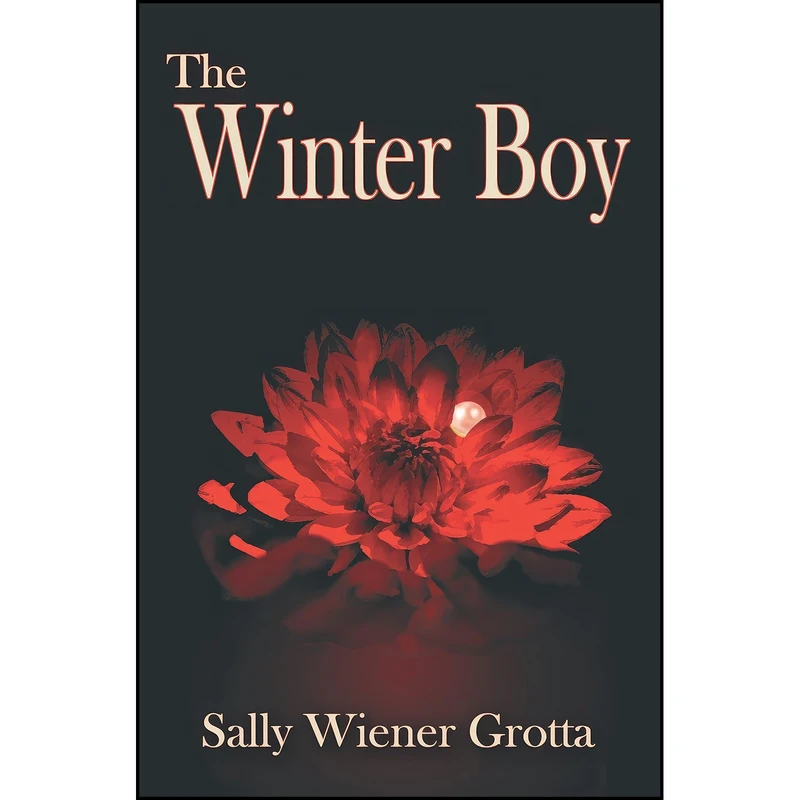 کتاب The Winter Boy اثر Sally Wiener Grotta انتشارات Pixel Hall Press