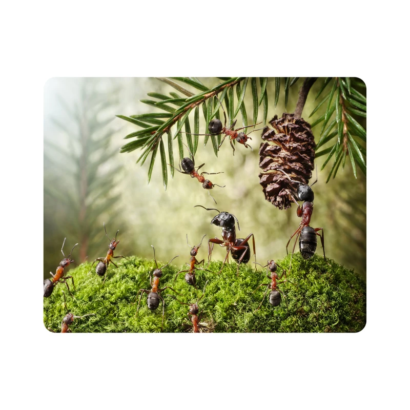 ماوس پد اطلس آبی طرح مورچه و درخت کاج مدل T6752