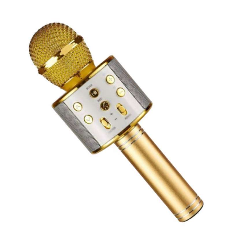 میکروفون اسپیکر مدل We-858