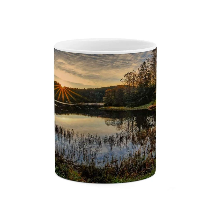 ماگ کاکتی مدل منظره کد mgh16524