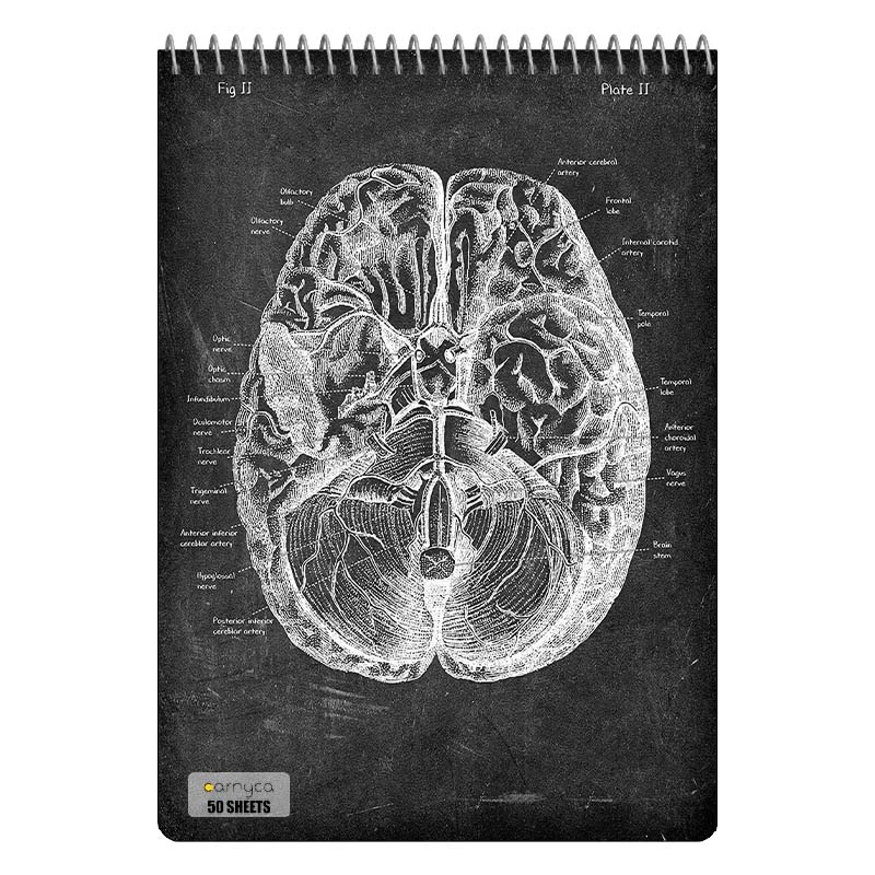 دفتر نقاشی 50 برگ سیمی کارنیکا طرح روزنامه وینتج آناتومی بدن Vintage Newspaper Anatomy کد 48582