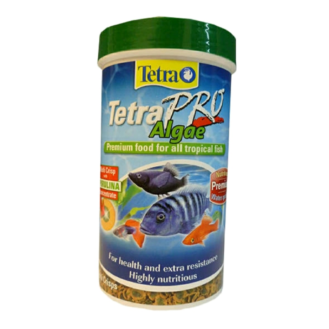 غذا ماهی تترا مدل algae وزن 45 گرم