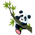 پاندای بازیگوش