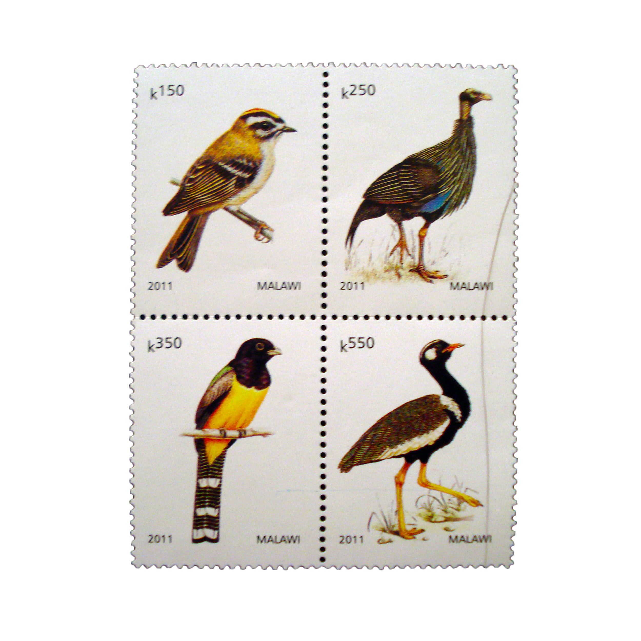 تمبر یادگاری طرح طبیعت مدل پرنده کد bird-706 مجموعه 4 عددی