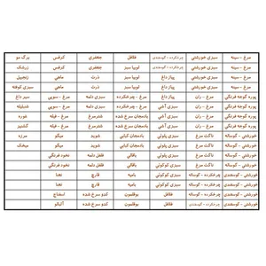 برچسب مدل نظم دهنده مواد فریزری طرح چیدمان بسته 2 عددی
