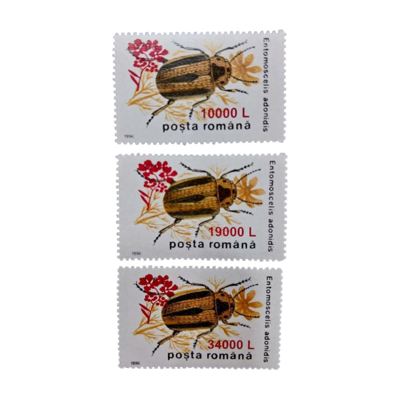 تمبر یادگاری مدل سوسک سومالی مجموعه 3 عددی