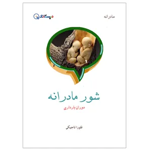 کتاب شور مادرانه اثر فلورا تاجیکی انتشارات دبستانک