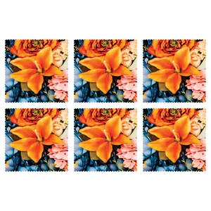 زیر لیوانی مدل C1-42804 بسته 6 عددی