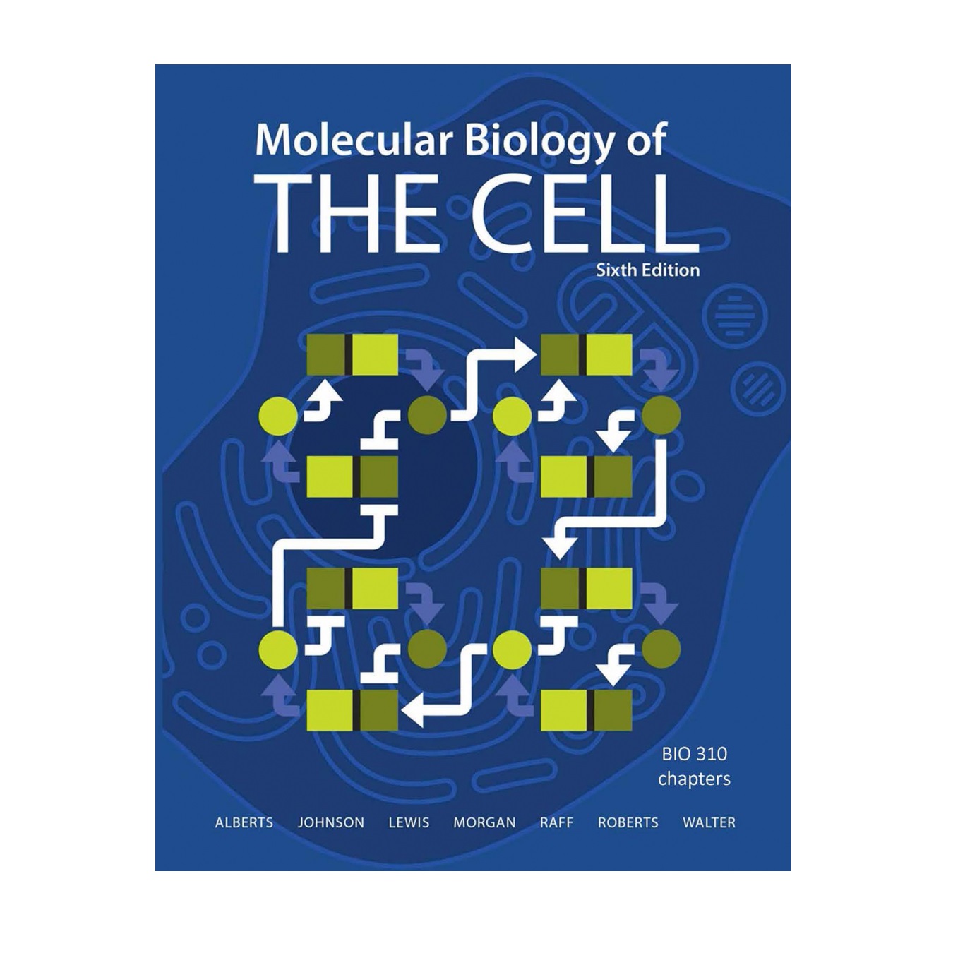 کتاب Molecular Biology of the Cell اثر Bruce Alberts انتشارات Garland Science