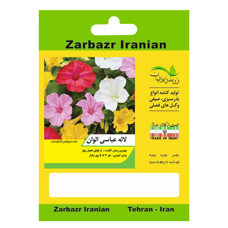 بذر گل لاله عباسی الوان زربذر ایرانیان کد ZBP-103