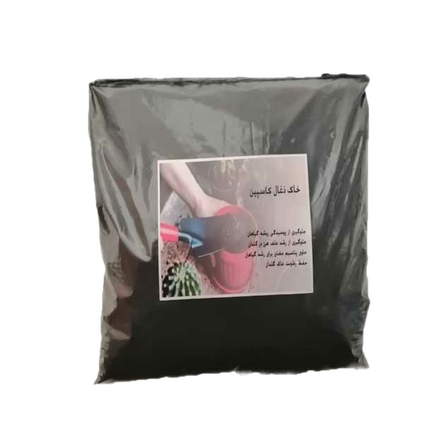 خاک ذغال کاسپین مدل ماهان وزن 200 گرم
