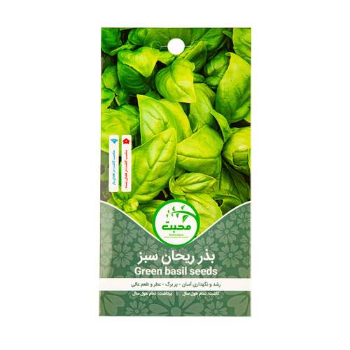 بذر ریحان سبز محبت مدل basil seed