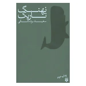 کتاب نهنگ تاریک اثر سعید بردستانی