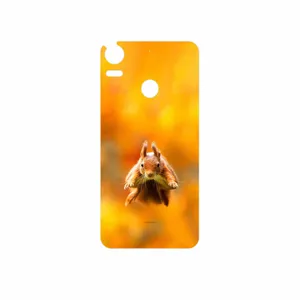 MAHOOT Squirrel Cover Sticker for HTC Desire 10 Pro