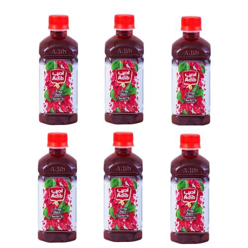 آبمیوه زرشک ادیب - 450 میلی لیتر مجموعه 6 عددی