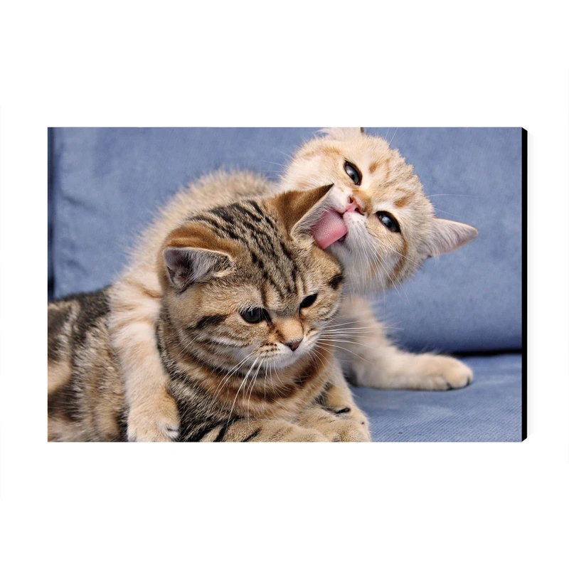 تابلو شاسی عرش مدل فانتزی گربه بامزه کد As3305