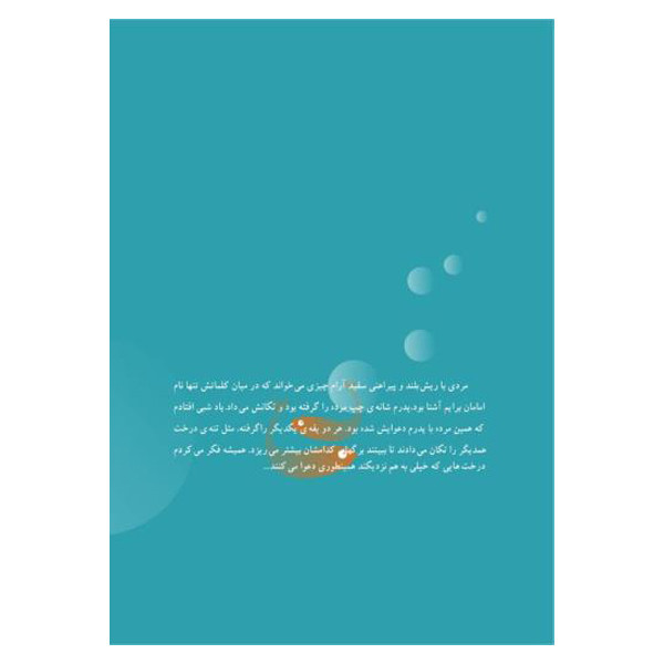 کتاب مجموعه داستان های کوتاه خرده ماهی ها و ماهی خرده ها اثر علی پور صفری نشر نیلوفران