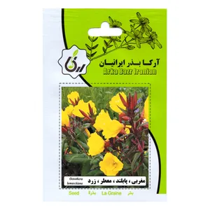 بذر مغربی پابلند معطر زرد آرکا بذر ایرانیان مدل C91