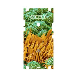 MAHOOT Atom Universe 6-FullSkin Cover Sticker for LG K51s